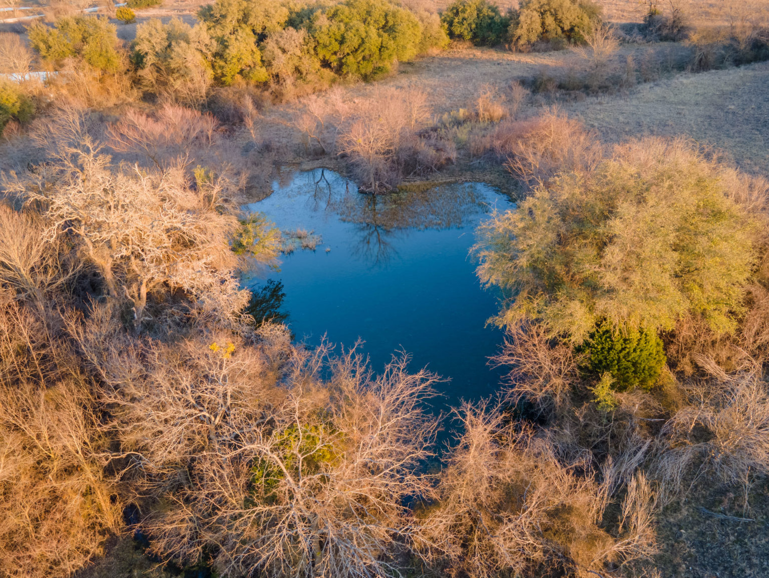 the-ins-and-outs-of-water-rights-in-texas-farm-and-ranch-properties